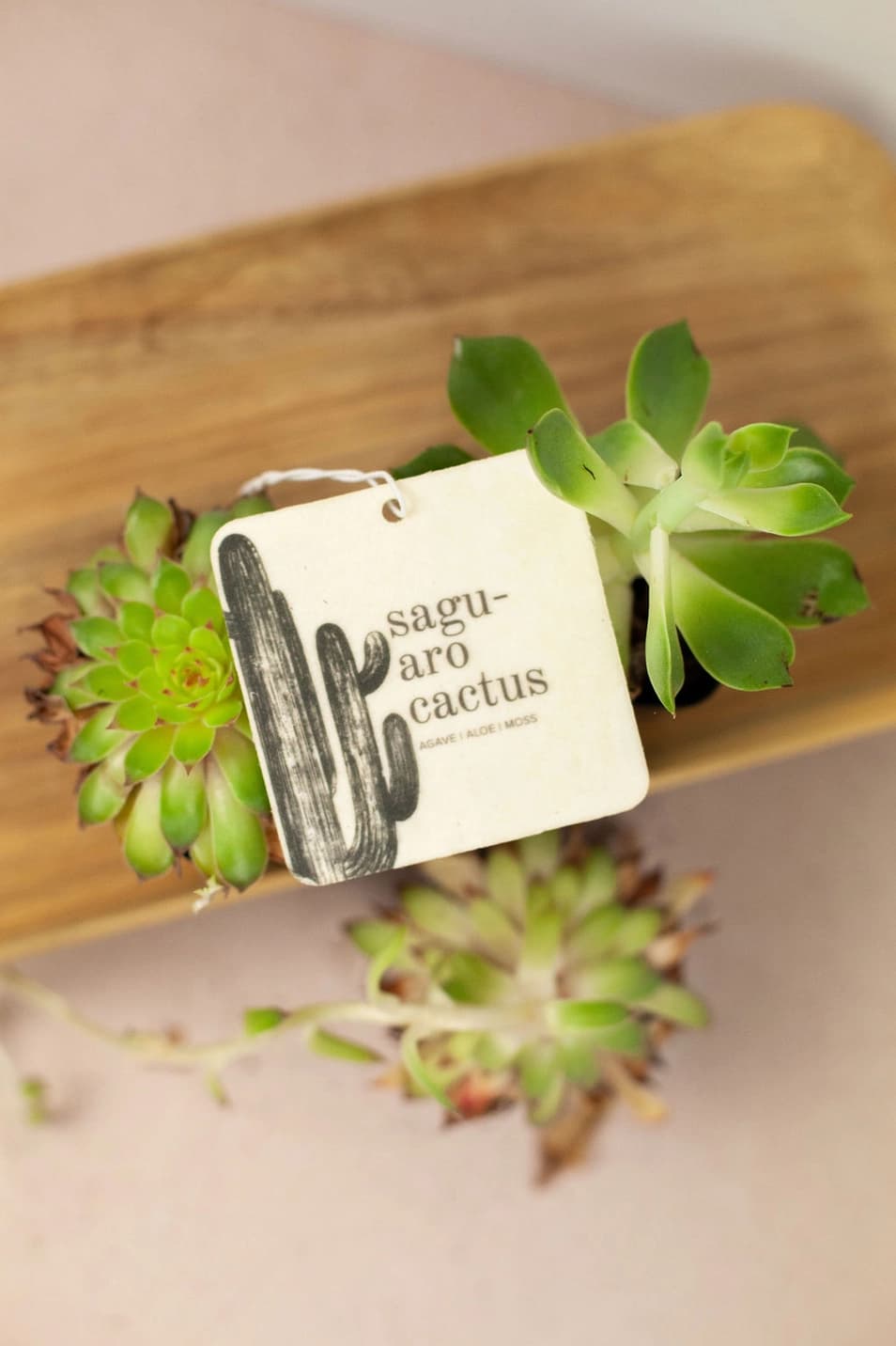 Saguaro Cactus Car Freshener