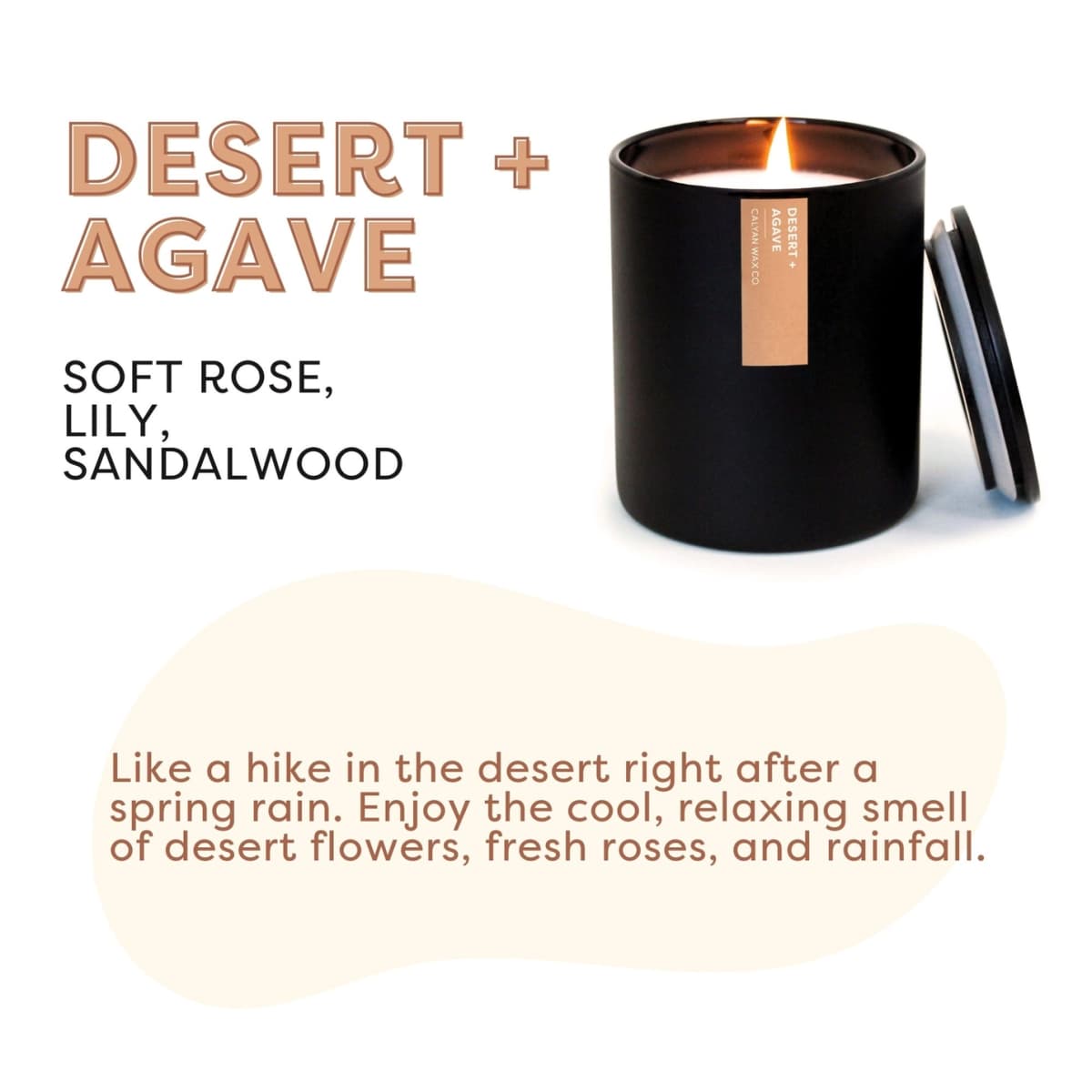 Desert + Agave Matte Black Tumbler Soy Candle