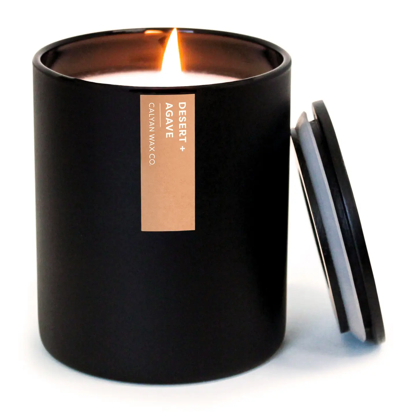 Desert + Agave Matte Black Tumbler