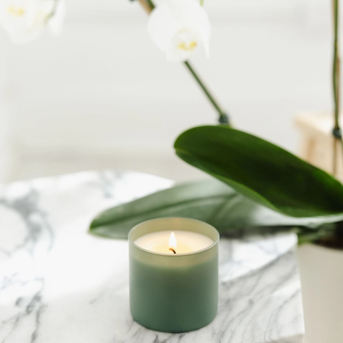 Evergreen + Eucalyptus Dignity Series Soy Candle
