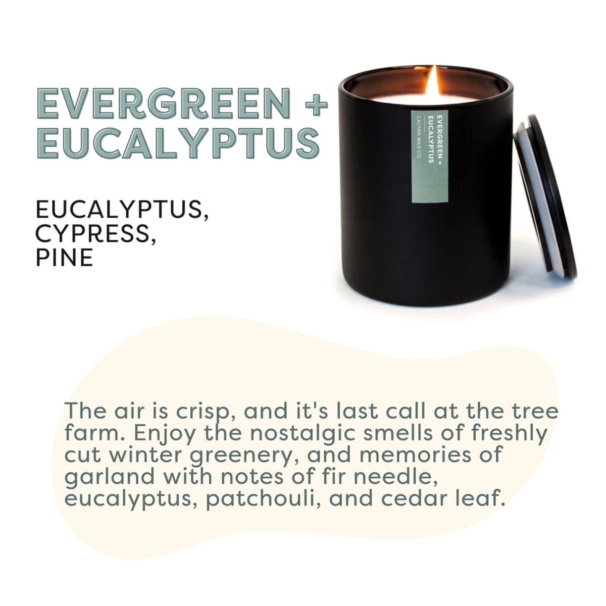 Evergreen + Eucalyptus Matte Black Tumbler Soy Candle
