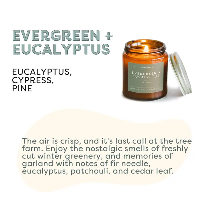 Evergreen + Eucalyptus Mini Amber Jar Soy Candle