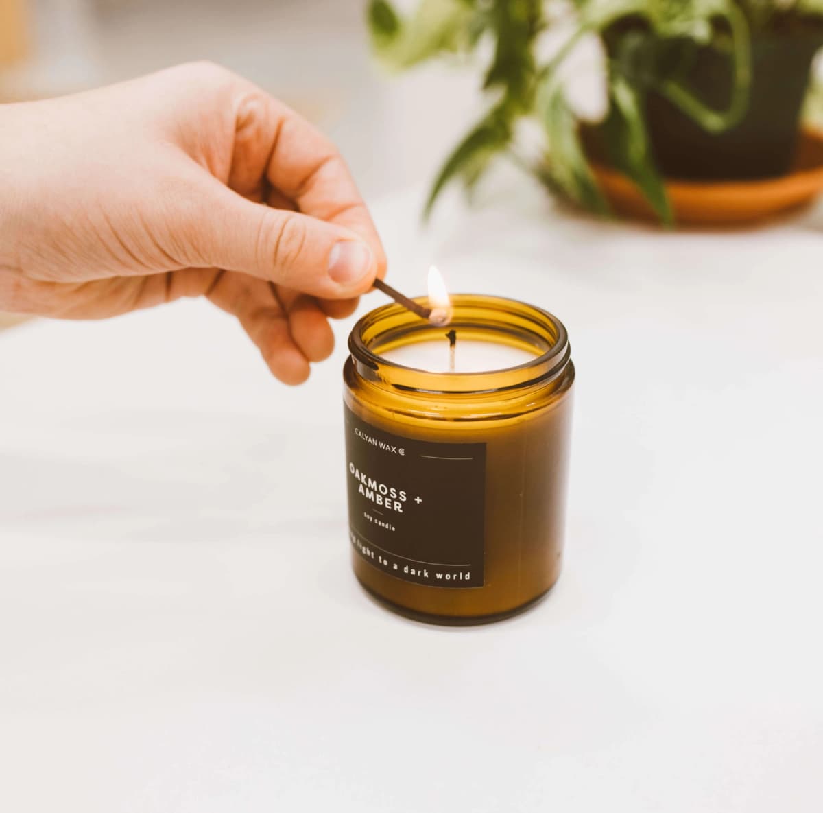 Oakmoss + Amber Amber Jar Soy Candle