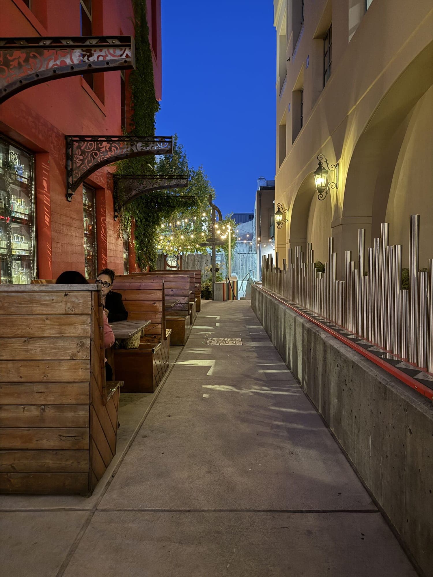 String lights in a downtown Santa Cruz alley at twilight