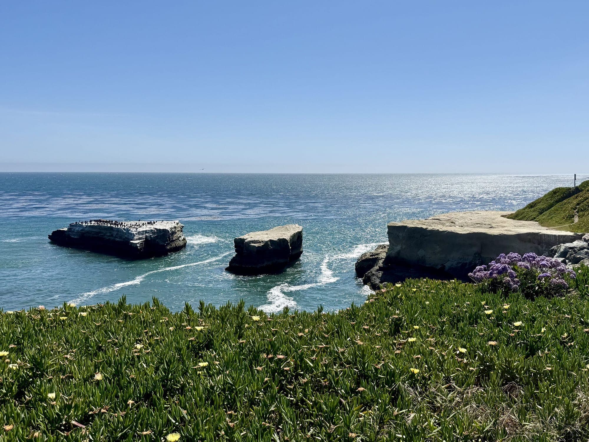 Rock formations and purple wildflowers at Natural Bridges, Santa Cruz