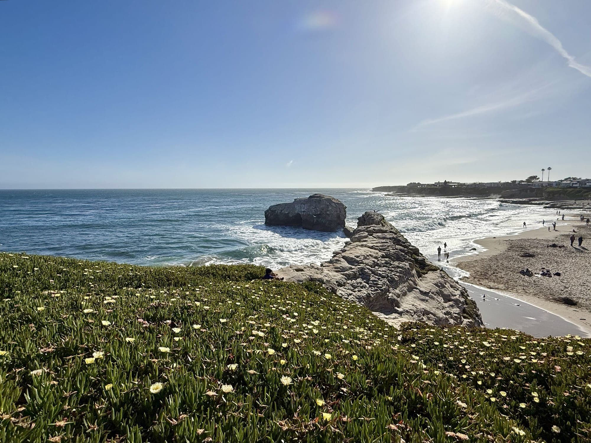 Arch rock and wildflower covered bluff on West Cliff Drive in Santa Cruz