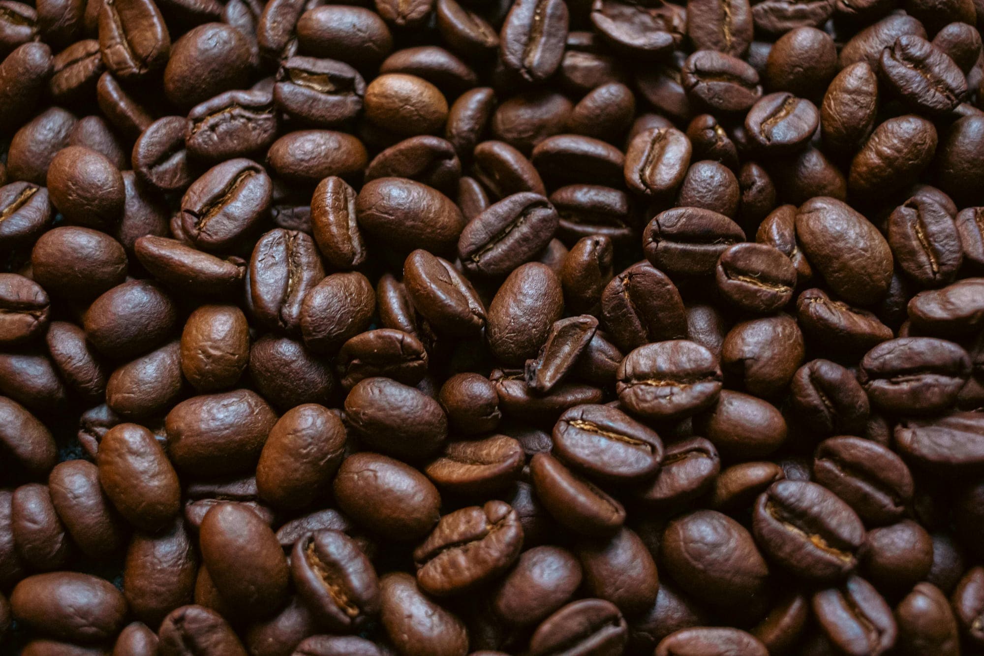 Coffee Shop Cozy Scents