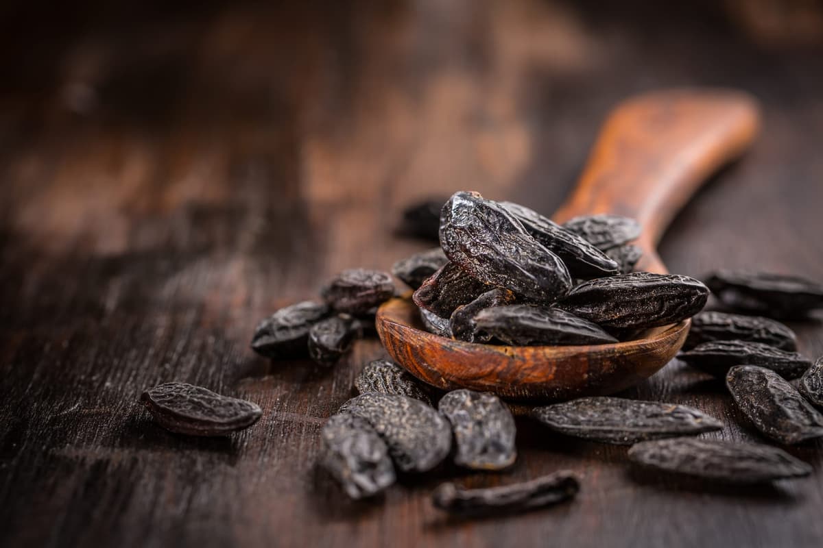 Tonka bean scene