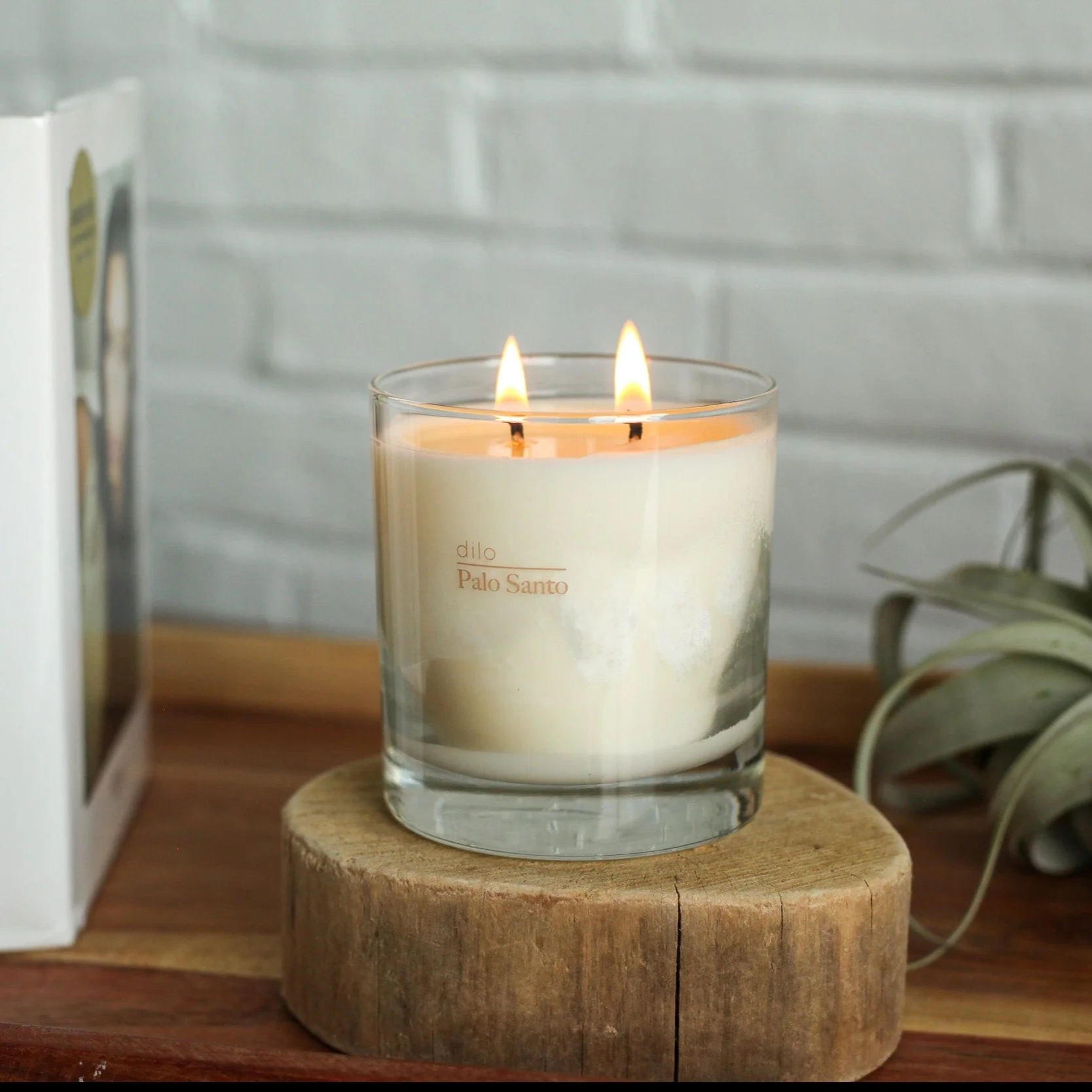 Palo Santo Candle 2
