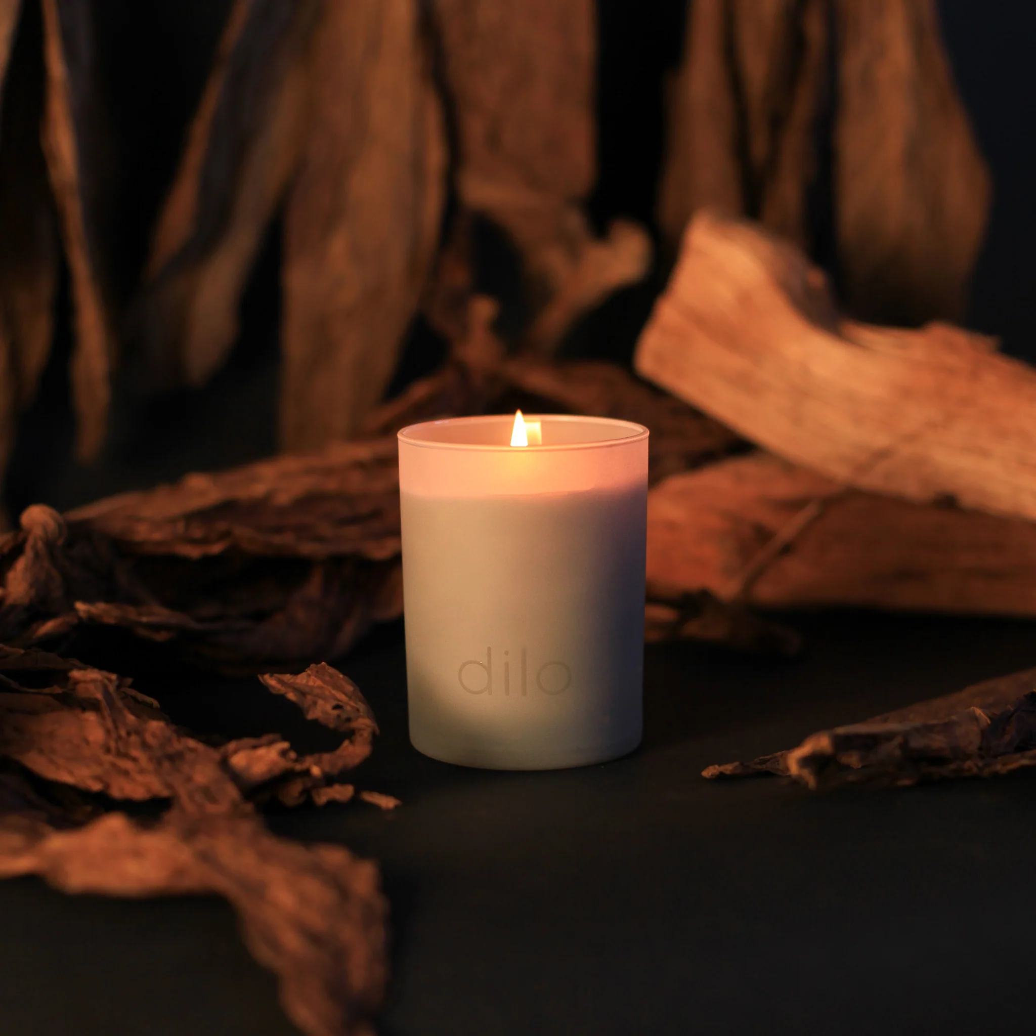 Tobacco + Cedar (SHADES) 2